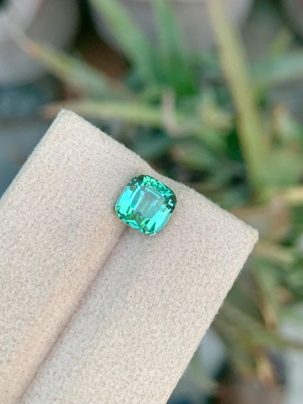 2.25 CT Blue Green Tourmaline Gemstone: Cushion Cut, Afghanistan