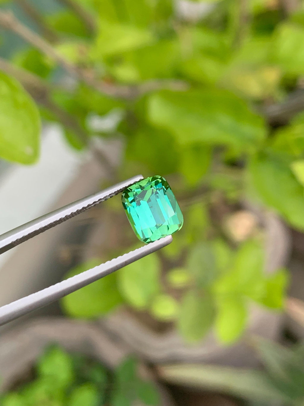 Natural Bluish Green Tourmaline Gemstone: Cushion Cut, 3.40 CT