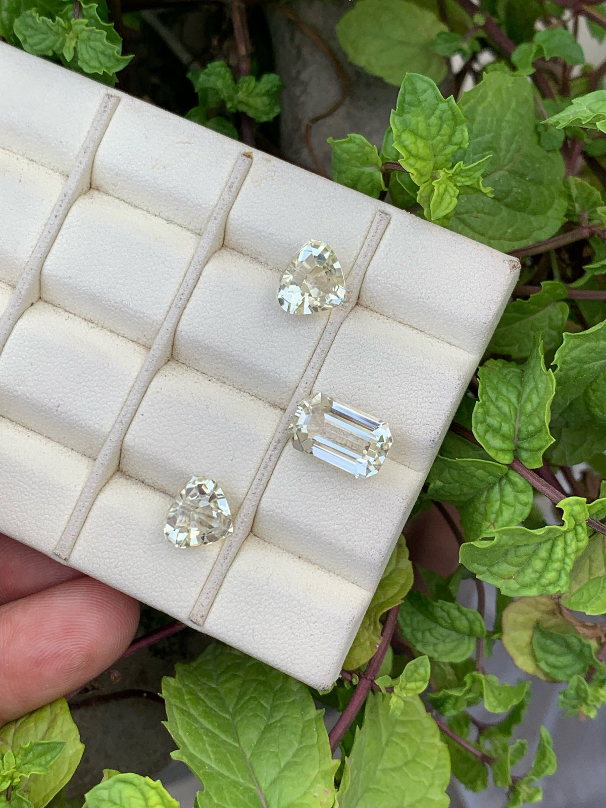 Natural yellow Kunzite set Gemstones - 15.05 Carats