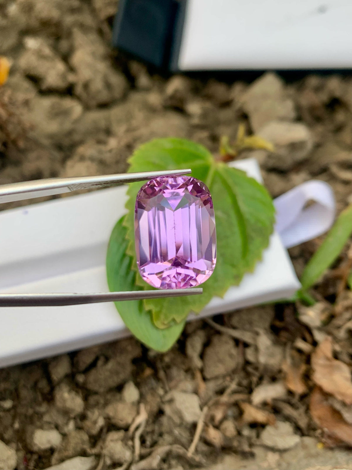 Faceted Light Pink Kunzite Gemstone: Cushion Cut, 15.55 CT