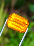 Golden Hour Sapphire,5.81 Cts Certified Natural Golden Yellow Sapphire