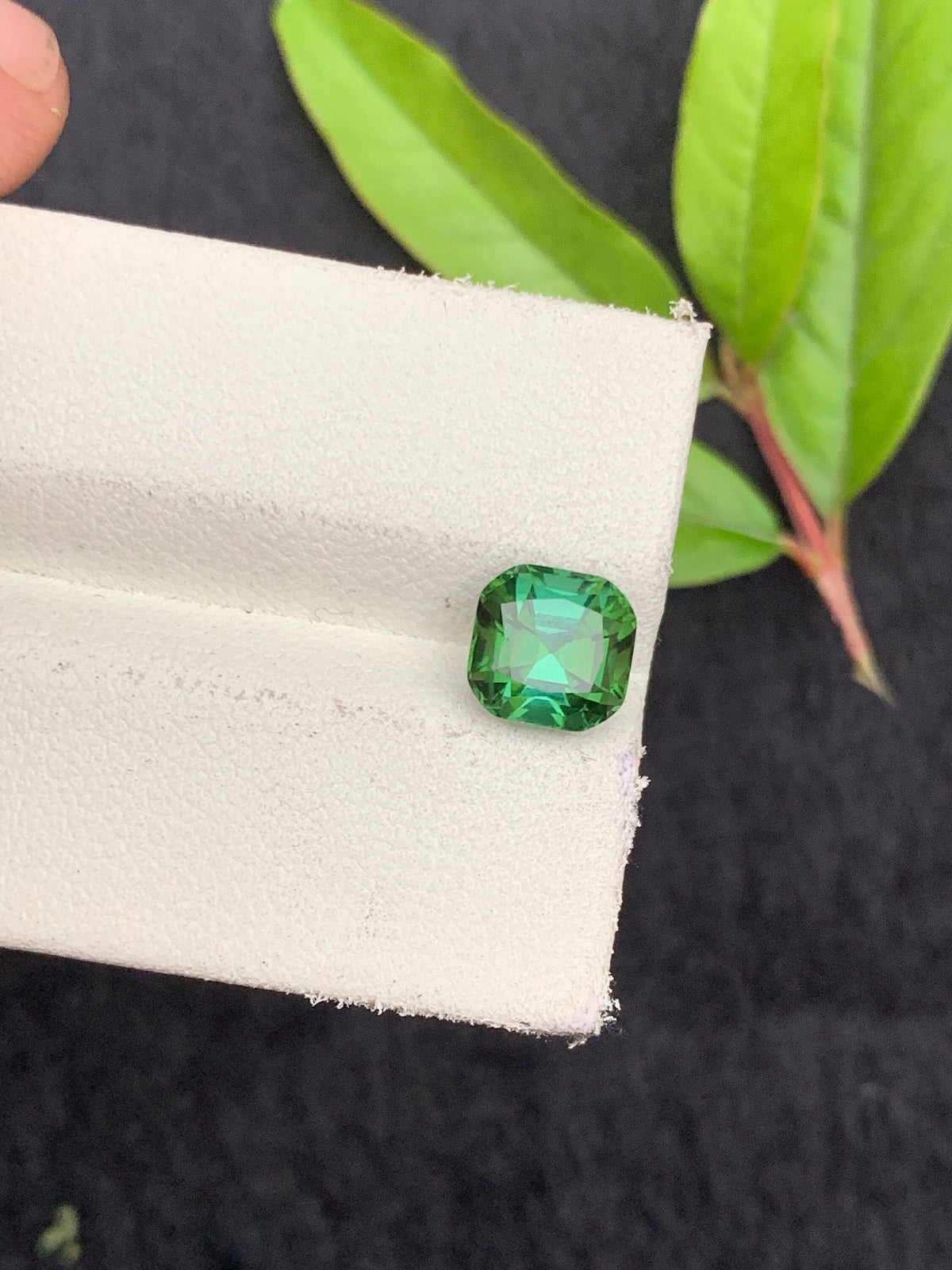 Natural Blue Green Tourmaline Gemstone: Cushion Cut, Afghanistan Origin