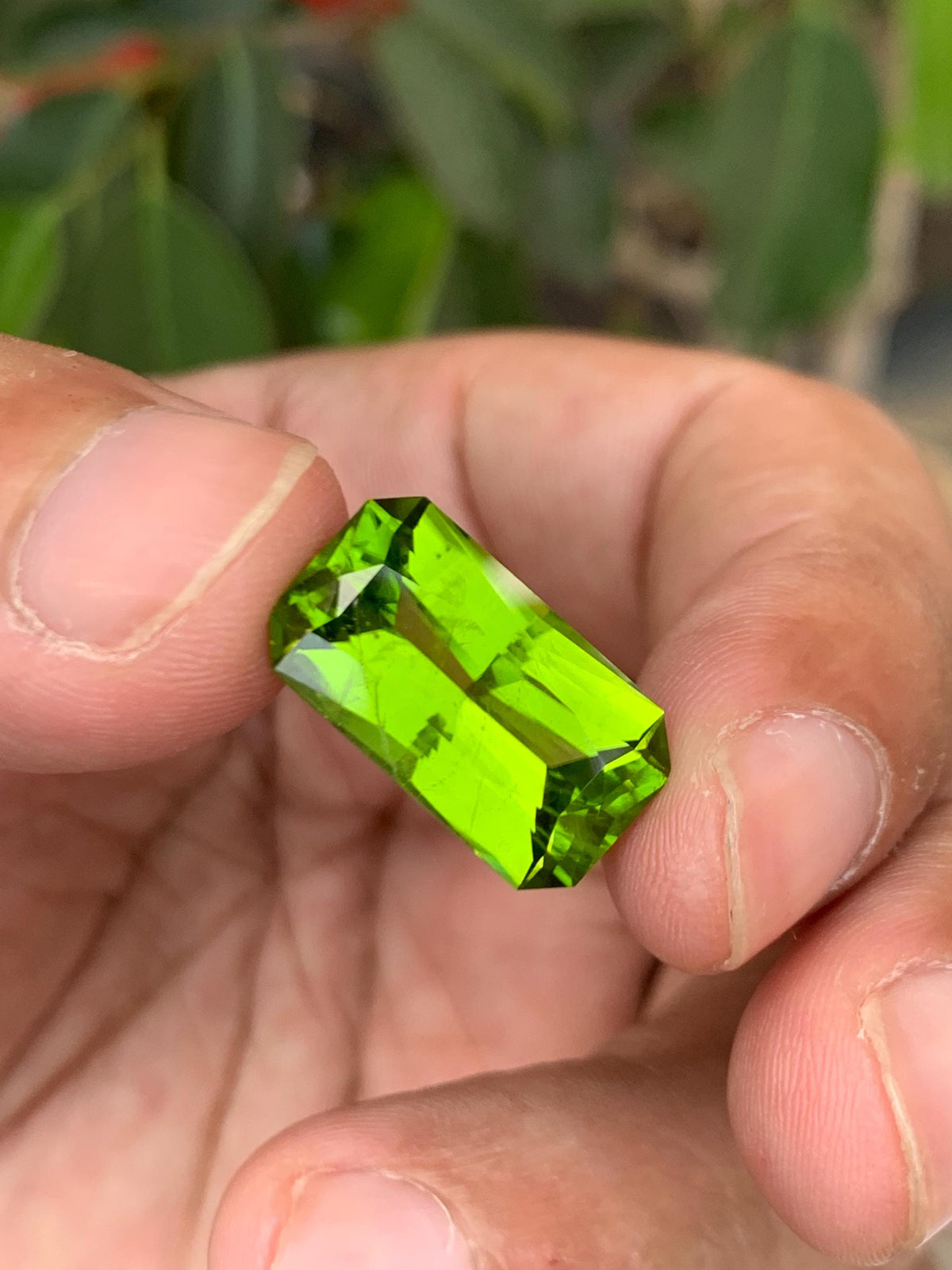 Peridot 11.70ct Fancy Cut Green Gemstone 17.7x10mm