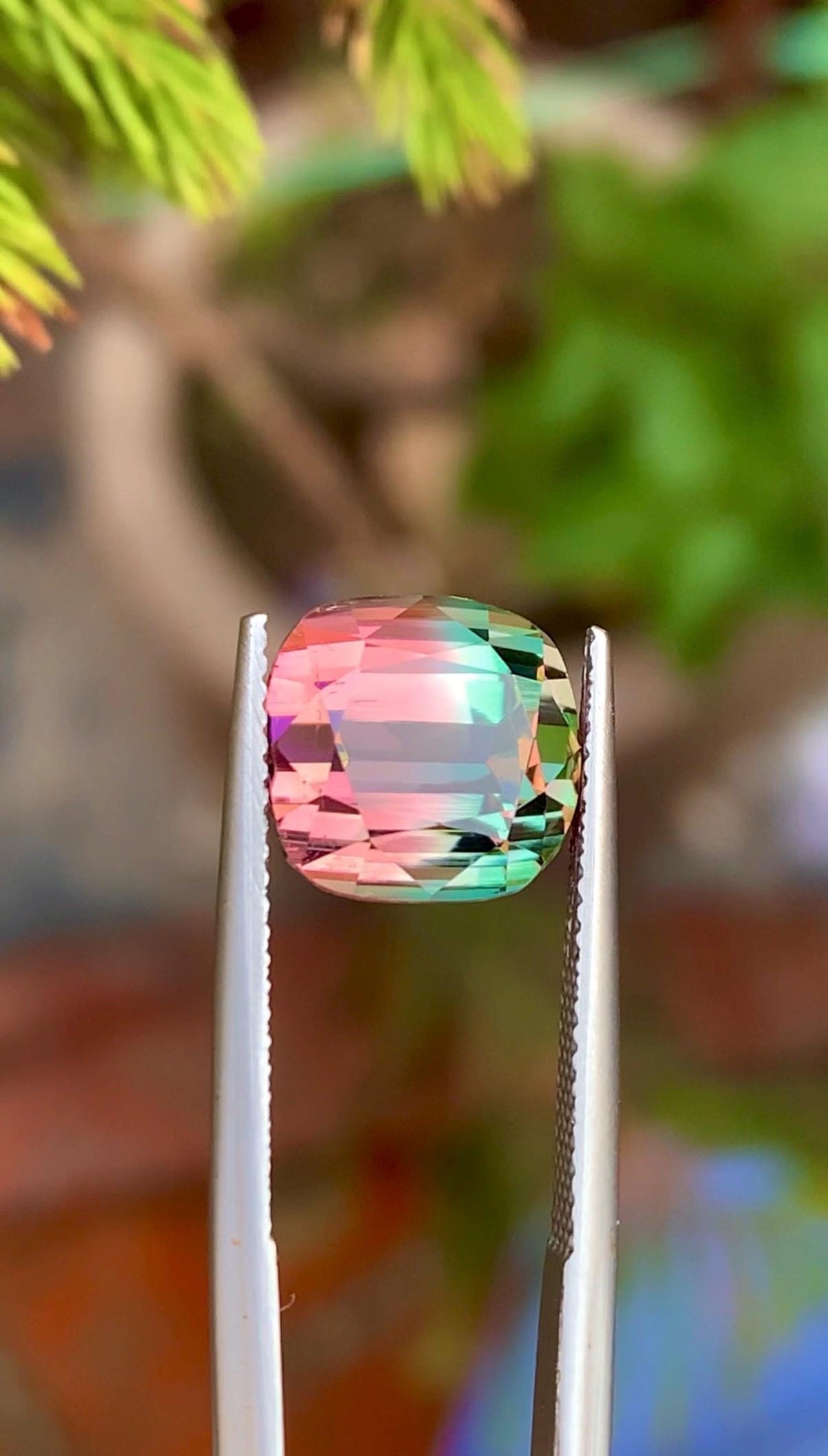 Bi-Color Tourmaline 7.65ct Cushion Cut Gemstone from Afghanistan – Pink & Green Zoning with Vibrant Luster