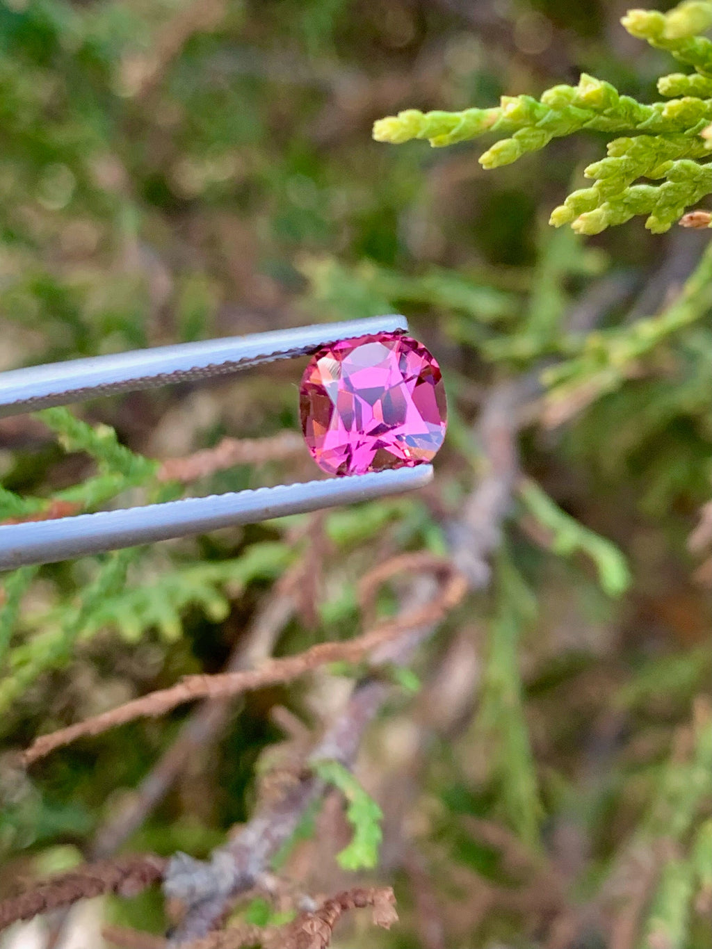 Faceted Pink Tourmaline Stone: 2.00 CT Cushion Cut Gemstone