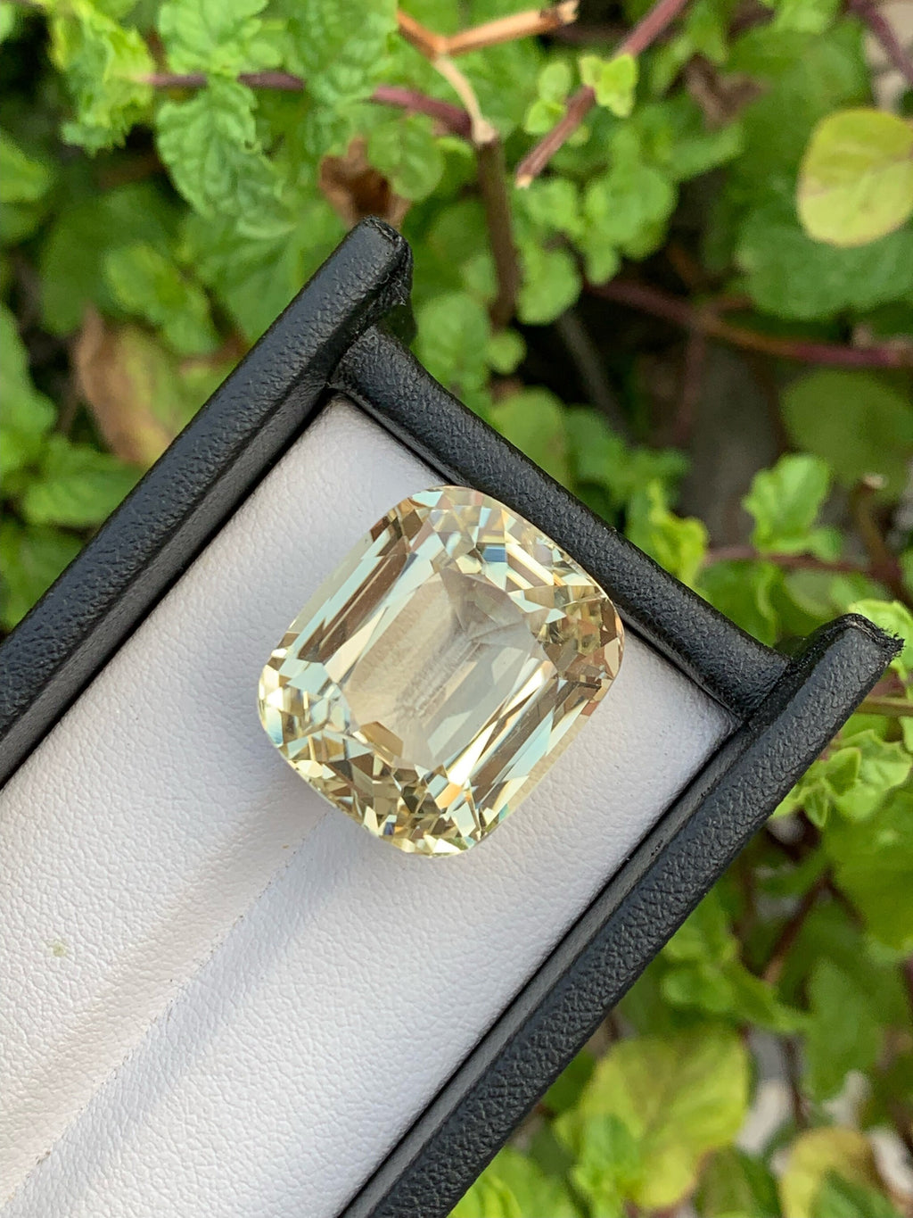 Canary Yellow Kunzite Gemstone: 42.10 CT Cushion Cut Triphane