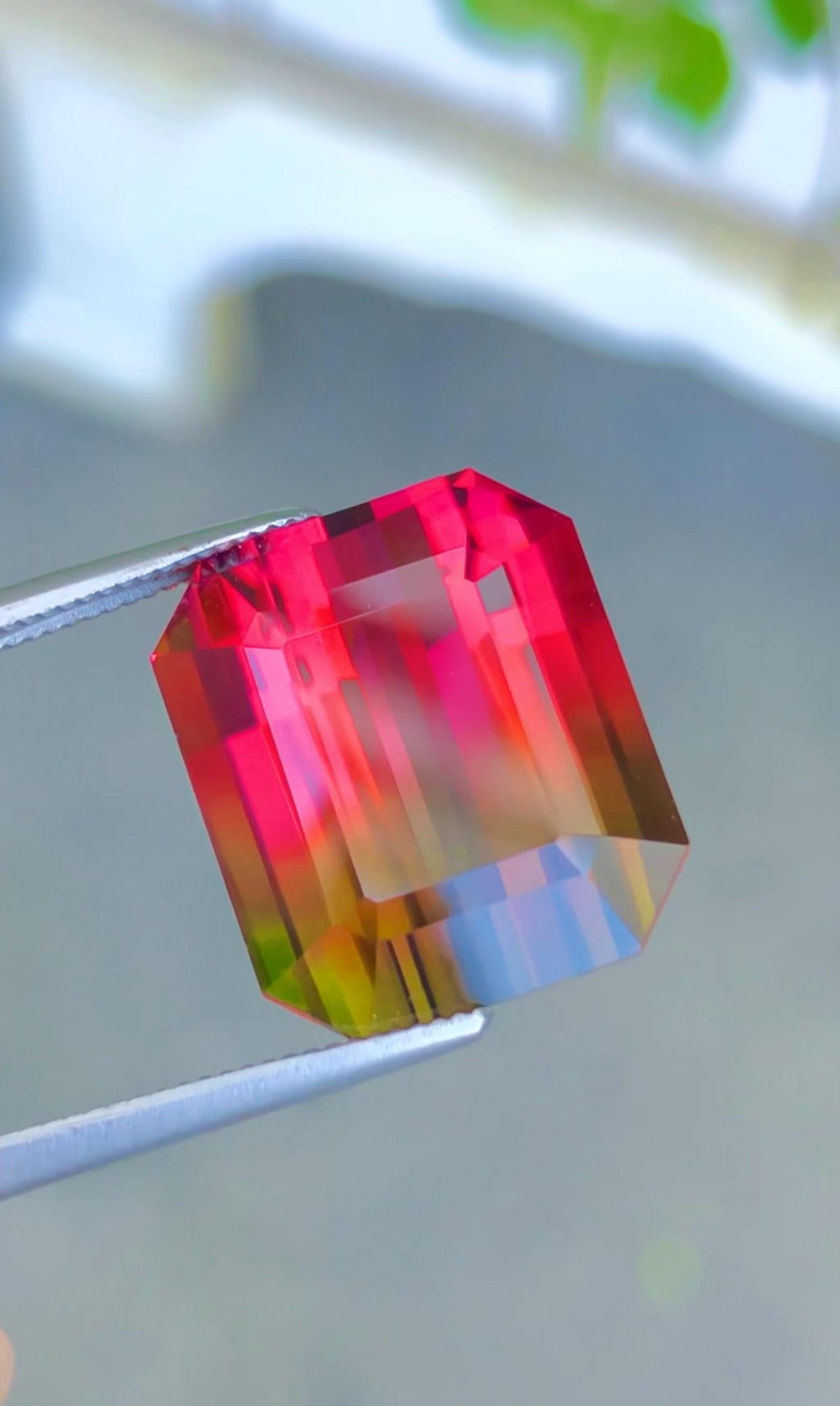 Unusual 14 Cts Watermelon Tourmaline,Red & Green No Heat Natural Gem