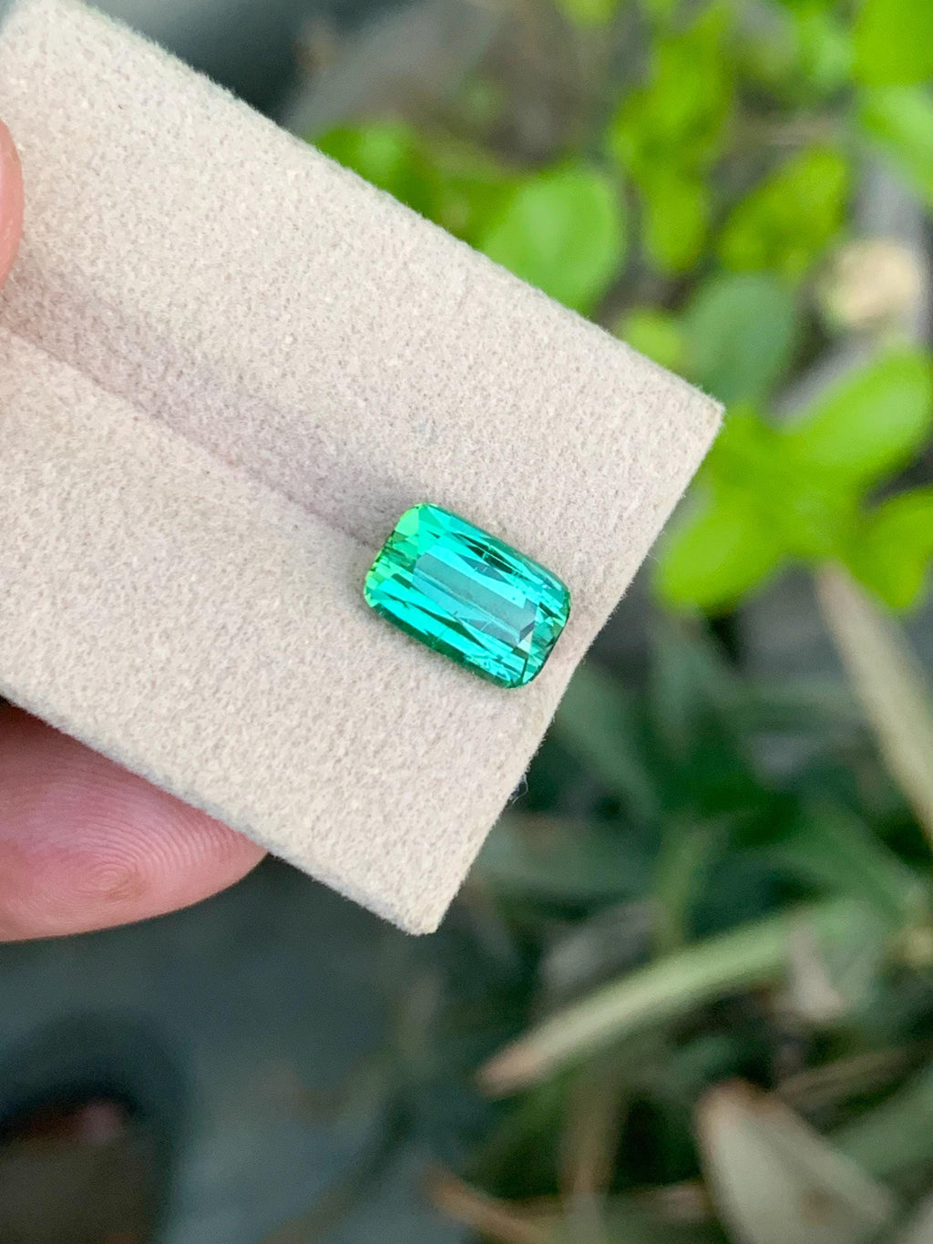 Green Tourmaline Gemstone: 3.70CT Cushion Cut, Afghanistan Origin