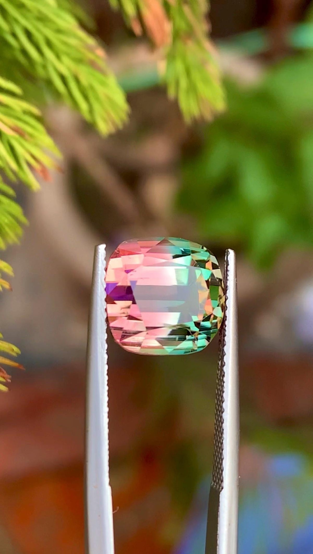 Bi-Color Tourmaline 7.65ct Cushion Cut Gemstone from Afghanistan – Pink & Green Zoning with Vibrant Luster