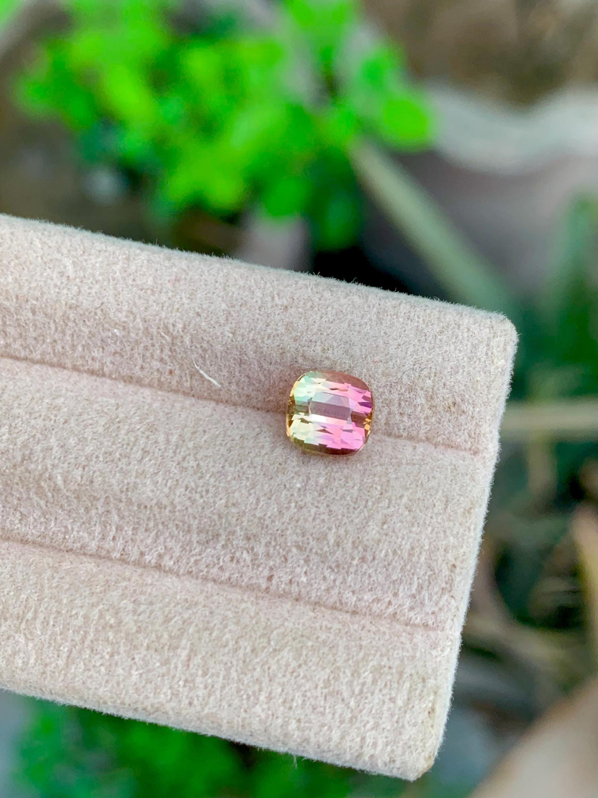 Bi-Color Tourmaline Gemstone: 1.35 CT Cushion Cut, Flamingo Pink/Harvest Green