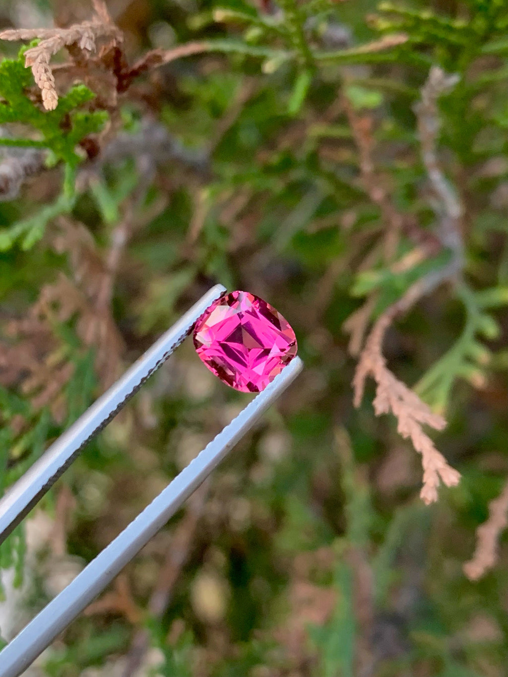 Natural Pink Tourmaline Gemstone: 2.00 CT Cushion Cut, Afghanistan Origin