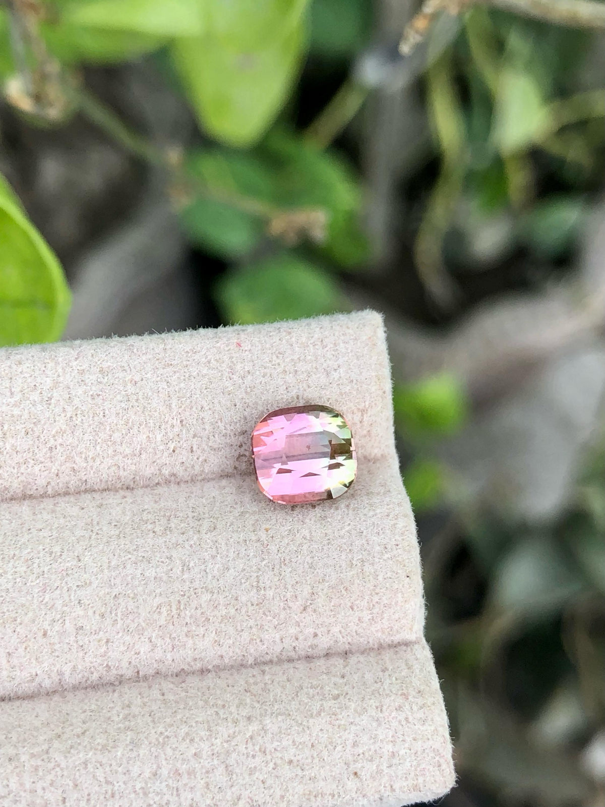 1.75 CT Bi-Color Tourmaline Gemstone: Cushion Cut, Flamingo Pink/Harvest Gold