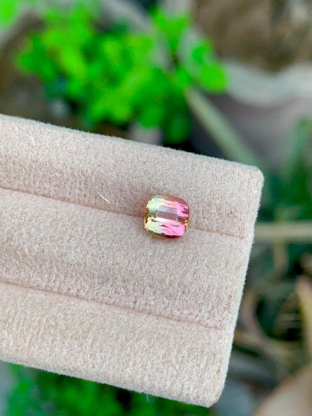 Bi-Color Tourmaline Gemstone: 1.35 CT Cushion Cut, Flamingo Pink/Harvest Green