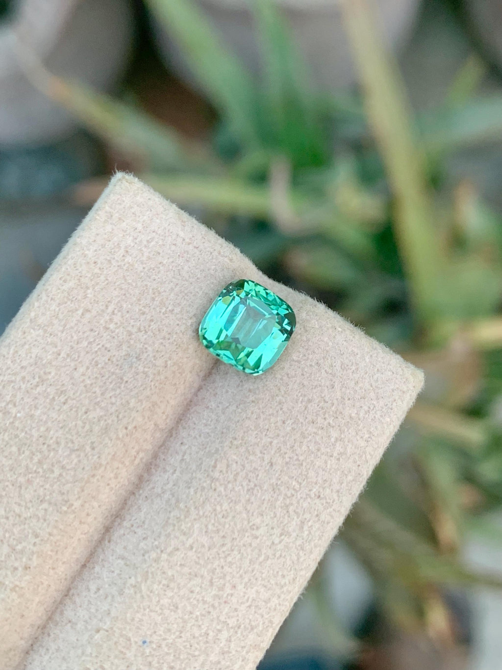2.25 CT Blue Green Tourmaline Gemstone: Cushion Cut, Afghanistan