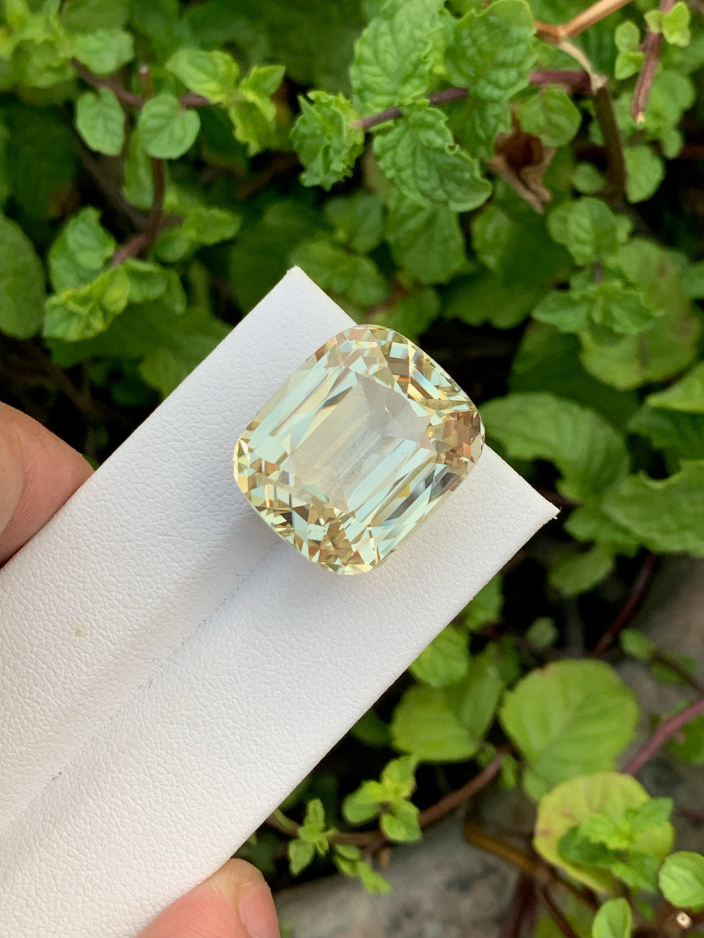 Canary Yellow Kunzite Gemstone: 42.10 CT Cushion Cut Triphane