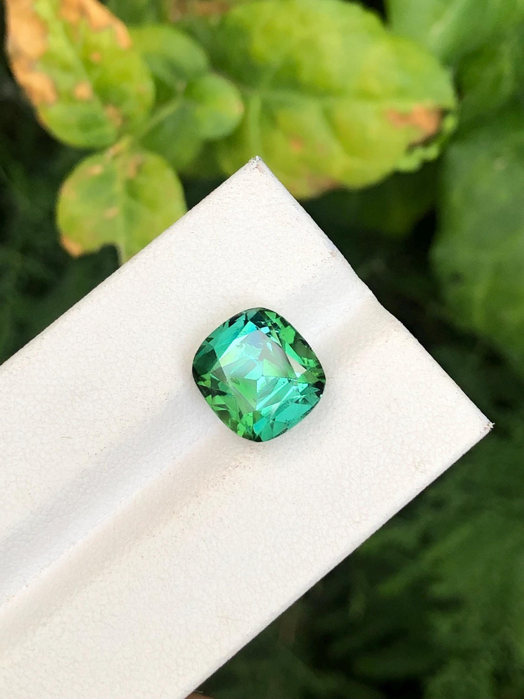 Green Tourmaline 6.60ct Cushion Cut Gemstone with Vibrant Luster