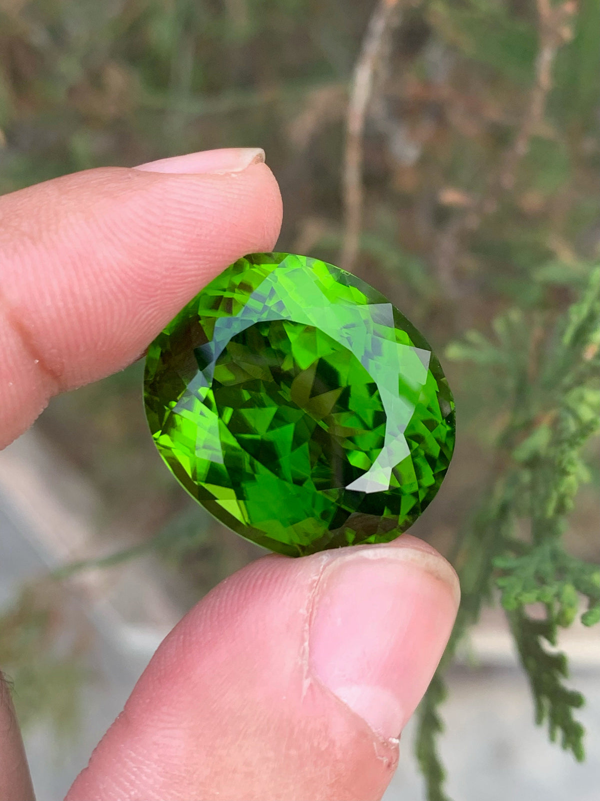 Lime Green Peridot Gemstone: 52.70 Carat Oval August Birthstone