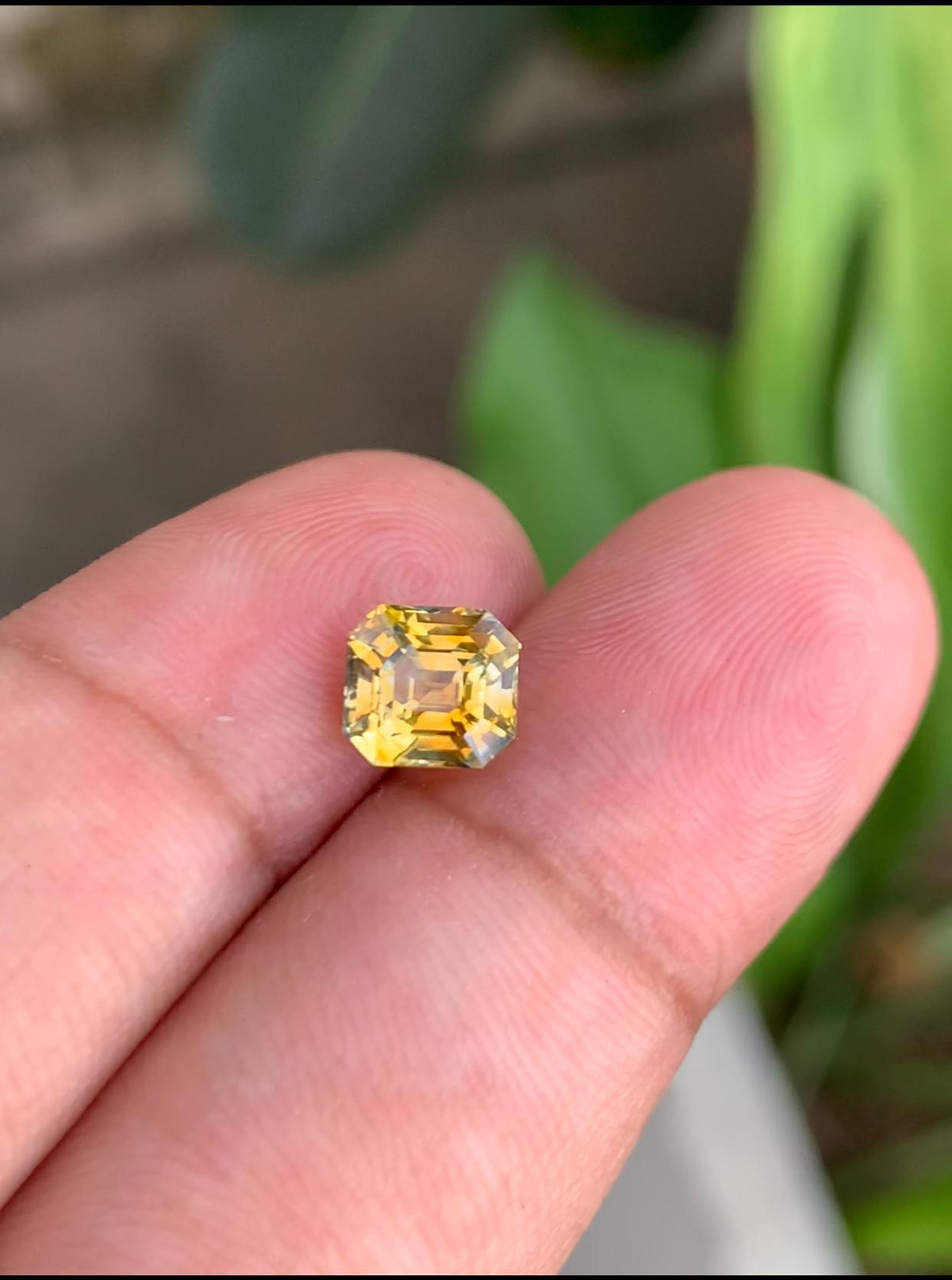 2.12ct Faceted Yellow Sapphire Gemstone: Natural Untreated Corundum