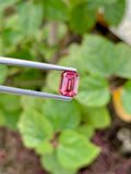 Pink Tourmaline Gemstone: 1.70 CT Emerald Cut, October Birthstone