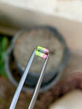 Watermelon Tourmaline Gemstone: Faceted Bi-Color Oval, 0.85 CT