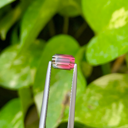 Pink Bi colour Tourmaline Gemstone, Emerald-Cut Eye Clean Clarity, Bi Color Tourmaline Cut Stone, Faceted Tourmaline Jewelry Making, 1.15 CT