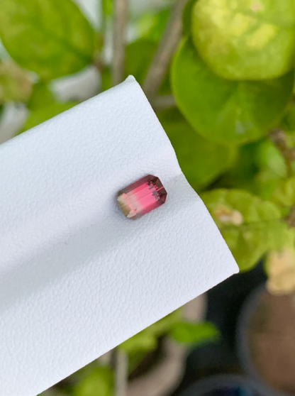 Pink Bi colour Tourmaline Gemstone, Emerald-Cut Eye Clean Clarity, Bi Color Tourmaline Cut Stone, Faceted Tourmaline Jewelry Making, 1.15 CT