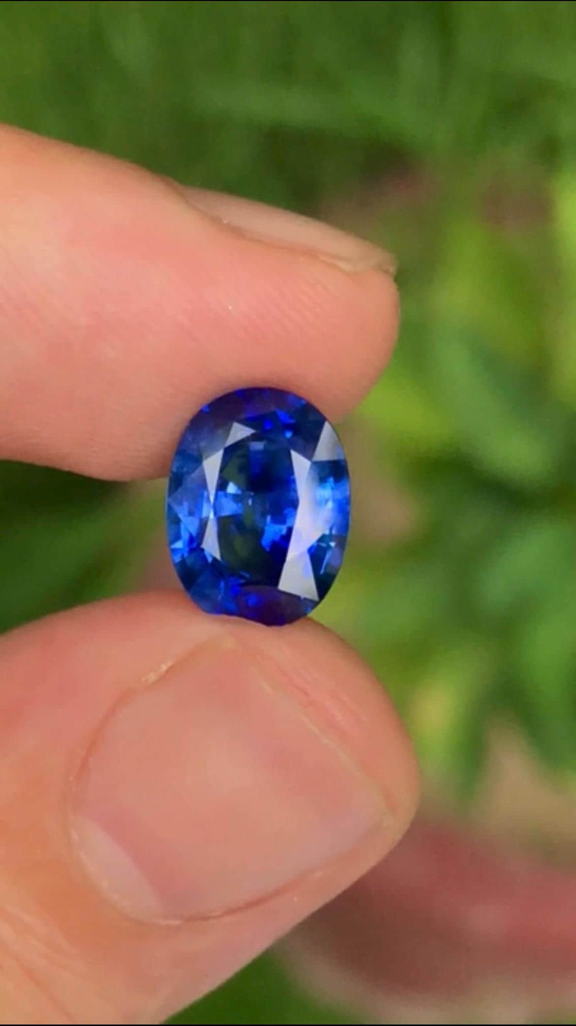 Cornflower Blue Sapphire 3.43ct Oval Cut – Sri Lanka