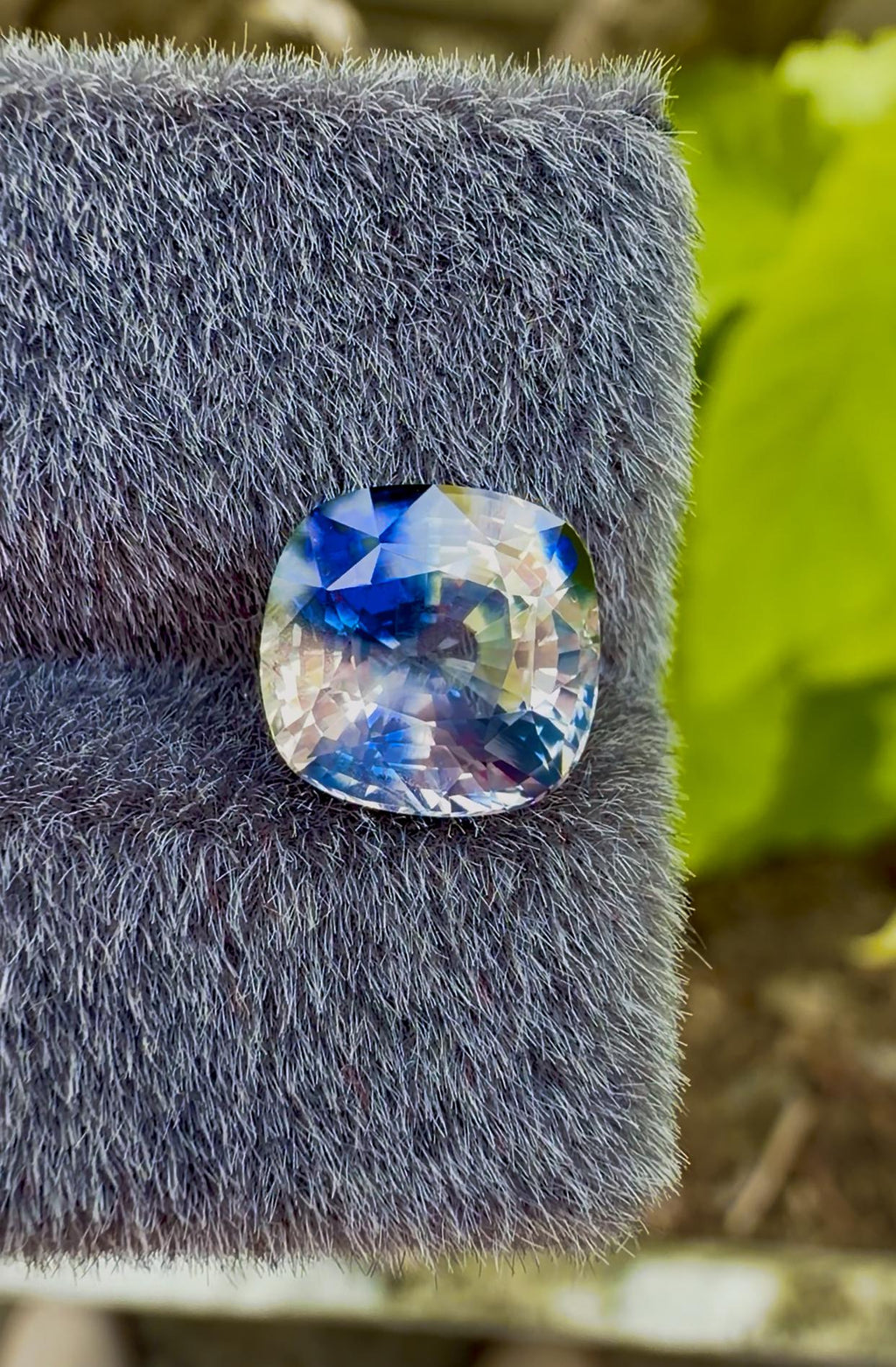 Bi Color Sapphire 4.40 ct Cushion Cut – sapphire Gem from Sri Lanka