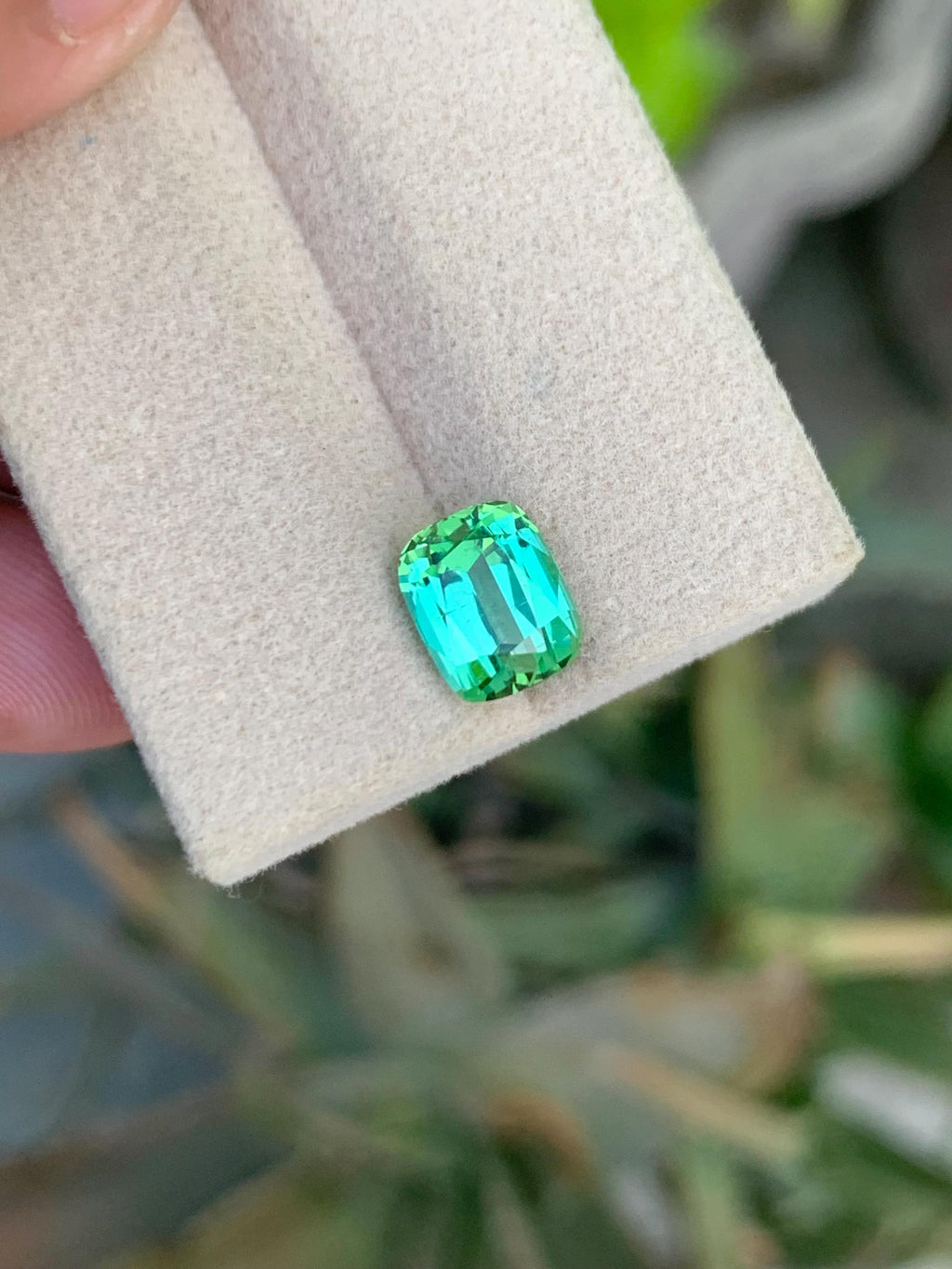 Bluish Green Tourmaline Gemstone: 2.50 CT Cushion Cut, Afghanistan