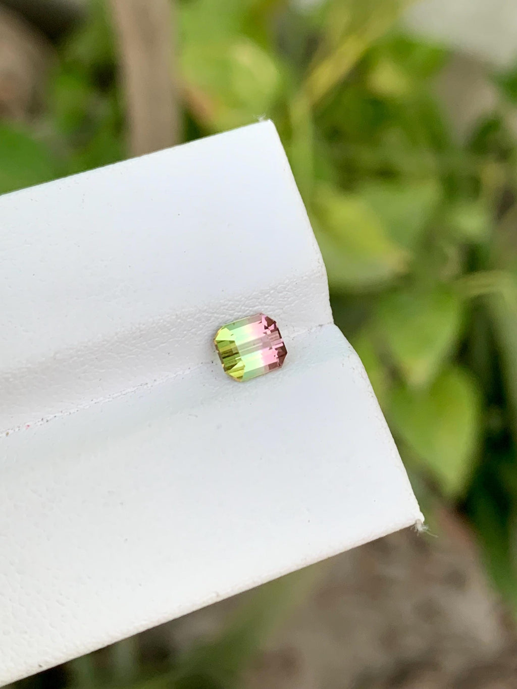 Watermelon Tourmaline Gemstone: Faceted Bi-Color Oval, 0.85 CT