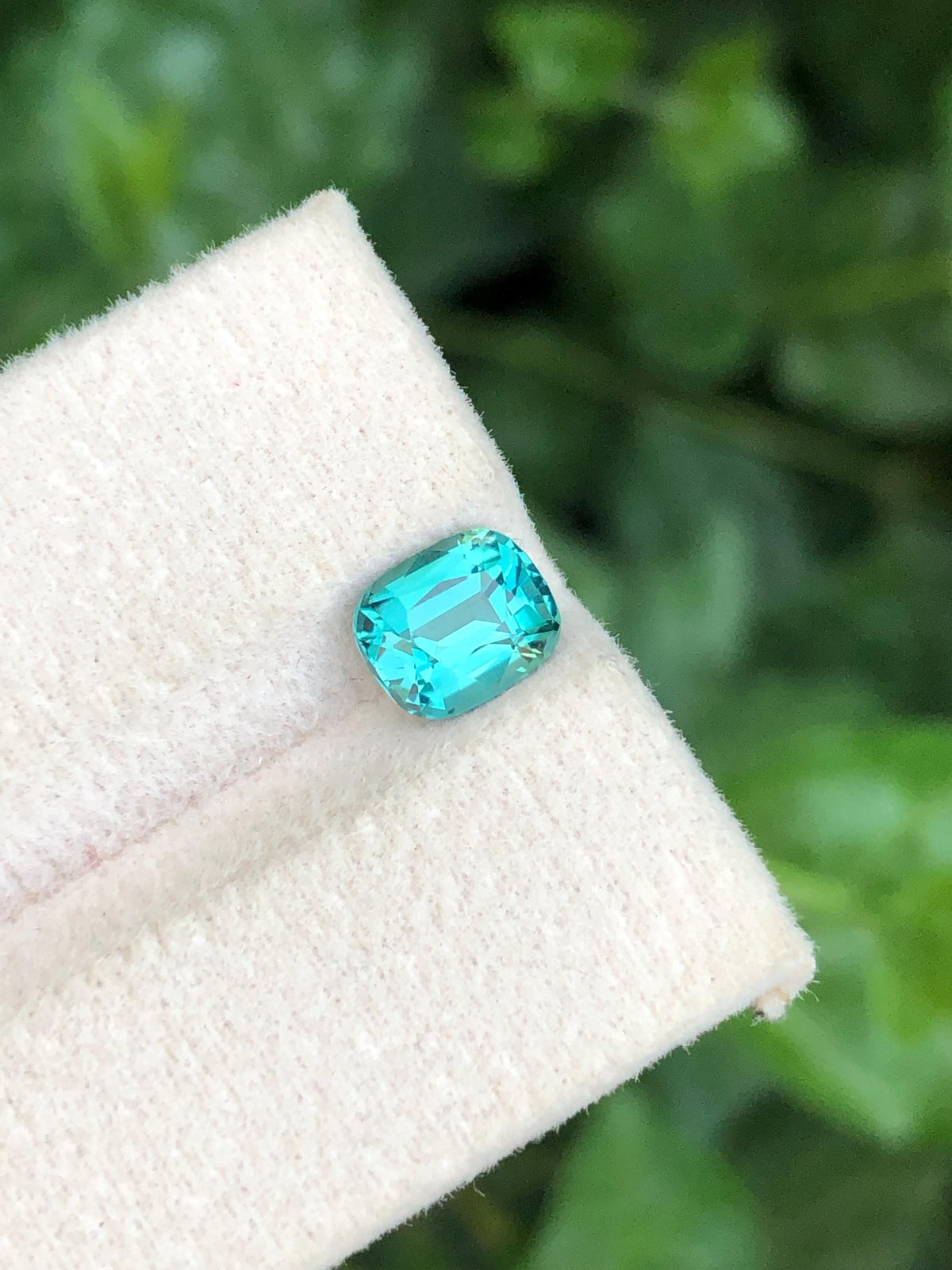 Lagoon Tourmaline 1.35 Carat Cushion Cut Loose Gemstone  from Afghanistan