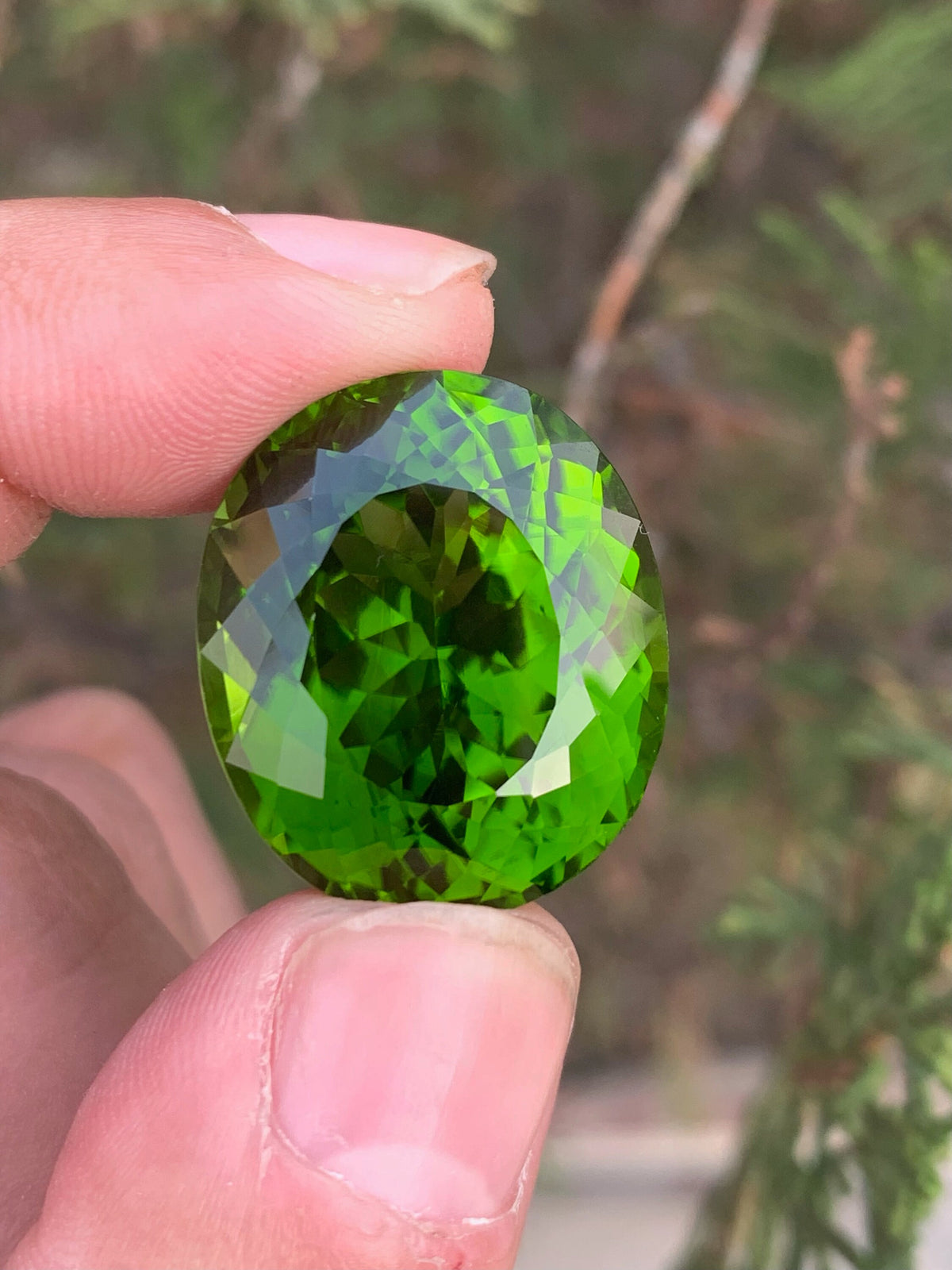 Lime Green Peridot Gemstone: 52.70 Carat Oval August Birthstone