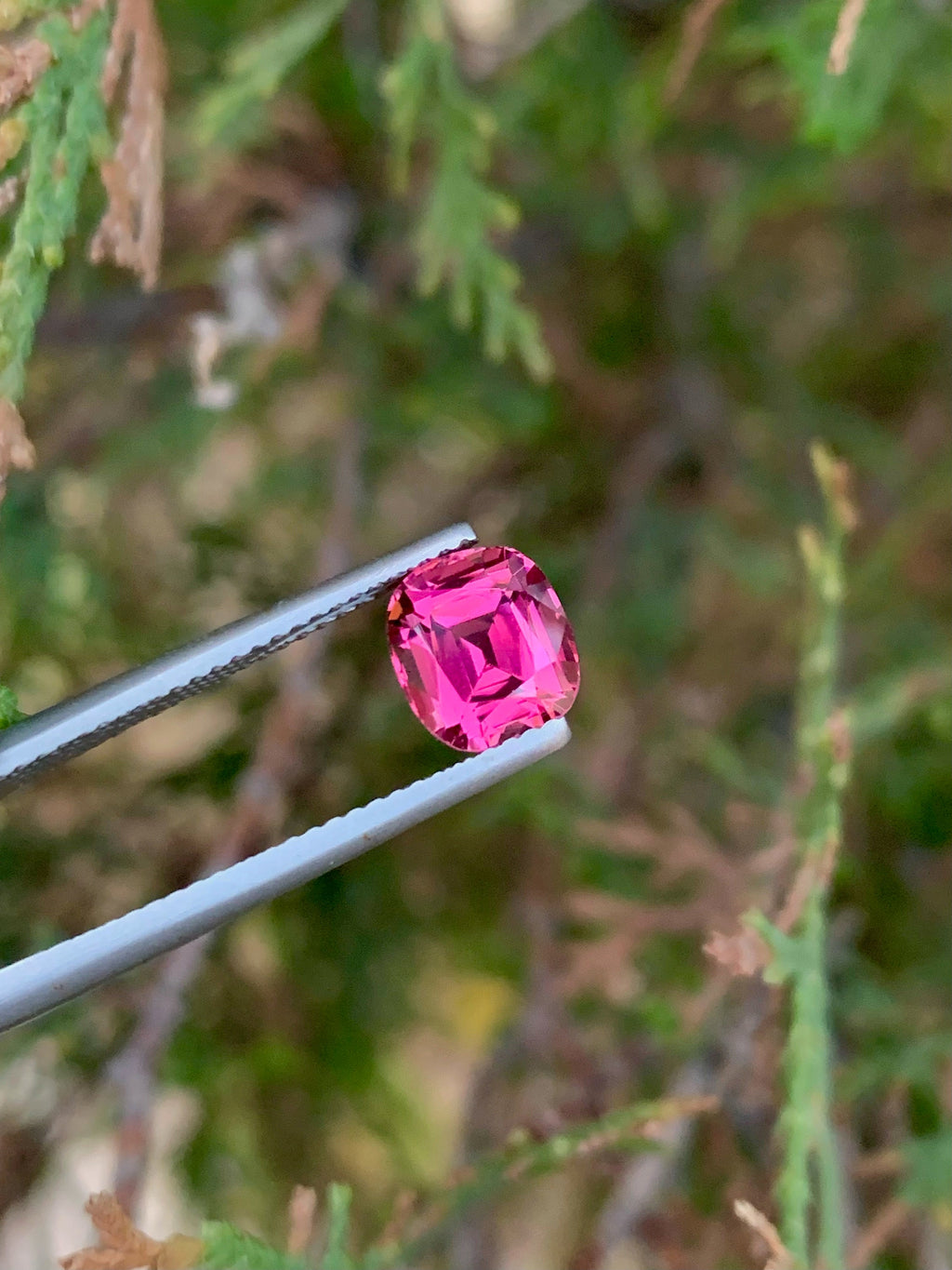 Natural Pink Tourmaline Gemstone: 2.00 CT Cushion Cut, Afghanistan Origin