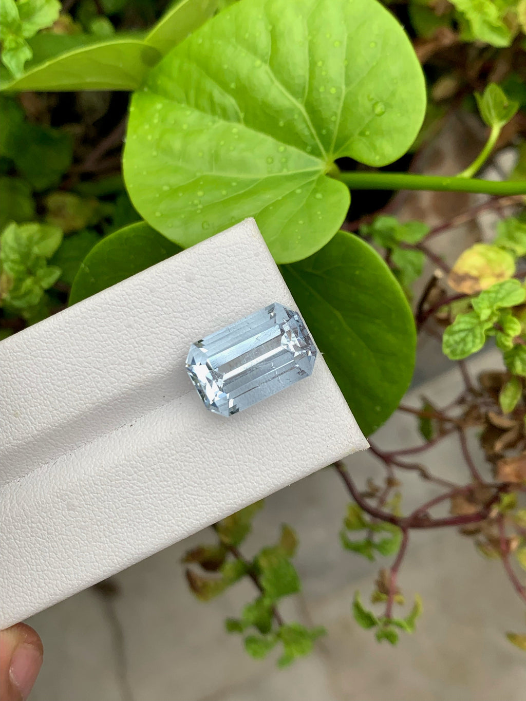Santa Maria Aquamarine Gemstone: Emerald Cut, 10.20 CT, VVS Flawless