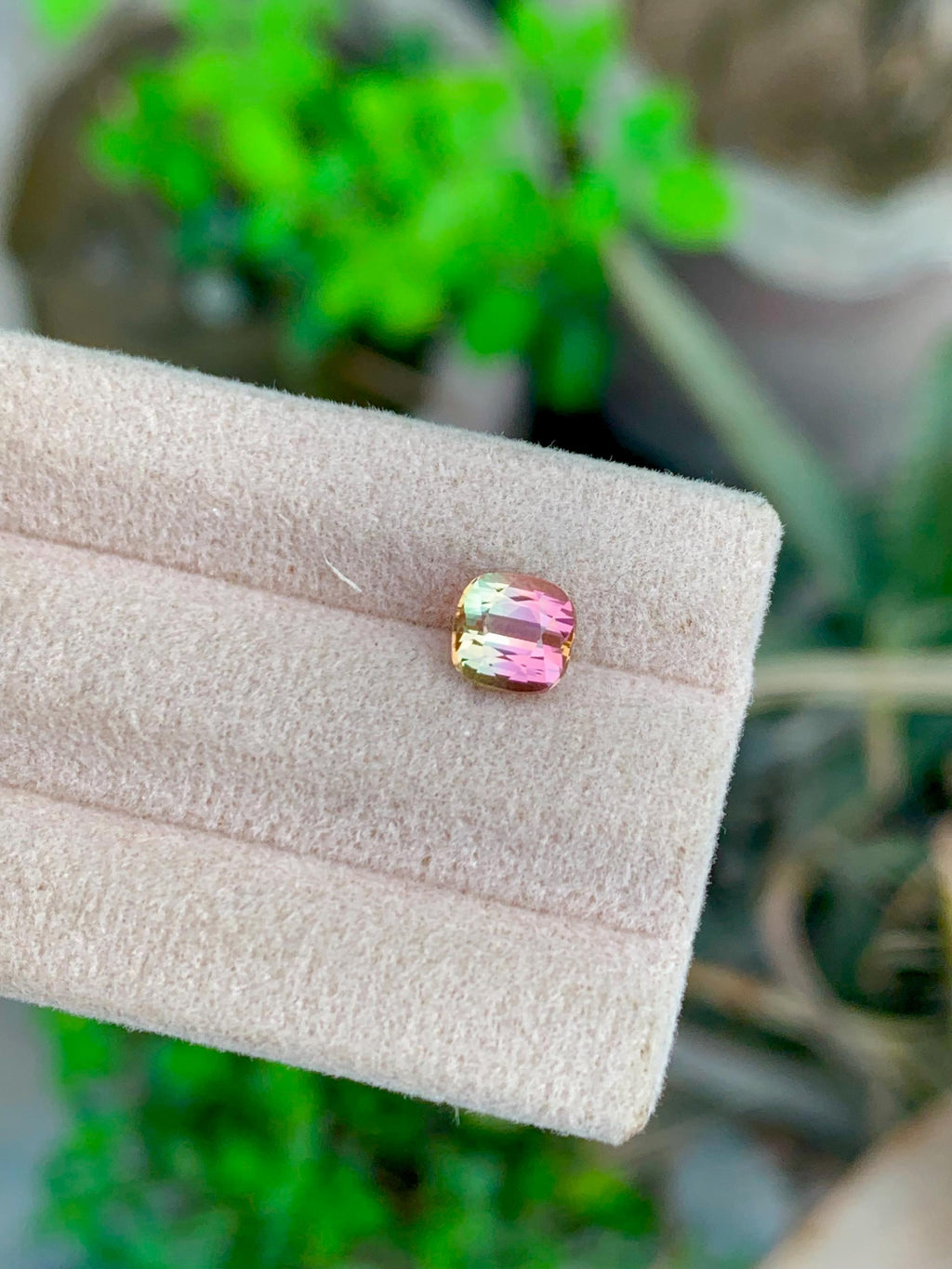 Bi-Color Tourmaline Gemstone: 1.35 CT Cushion Cut, Flamingo Pink/Harvest Green