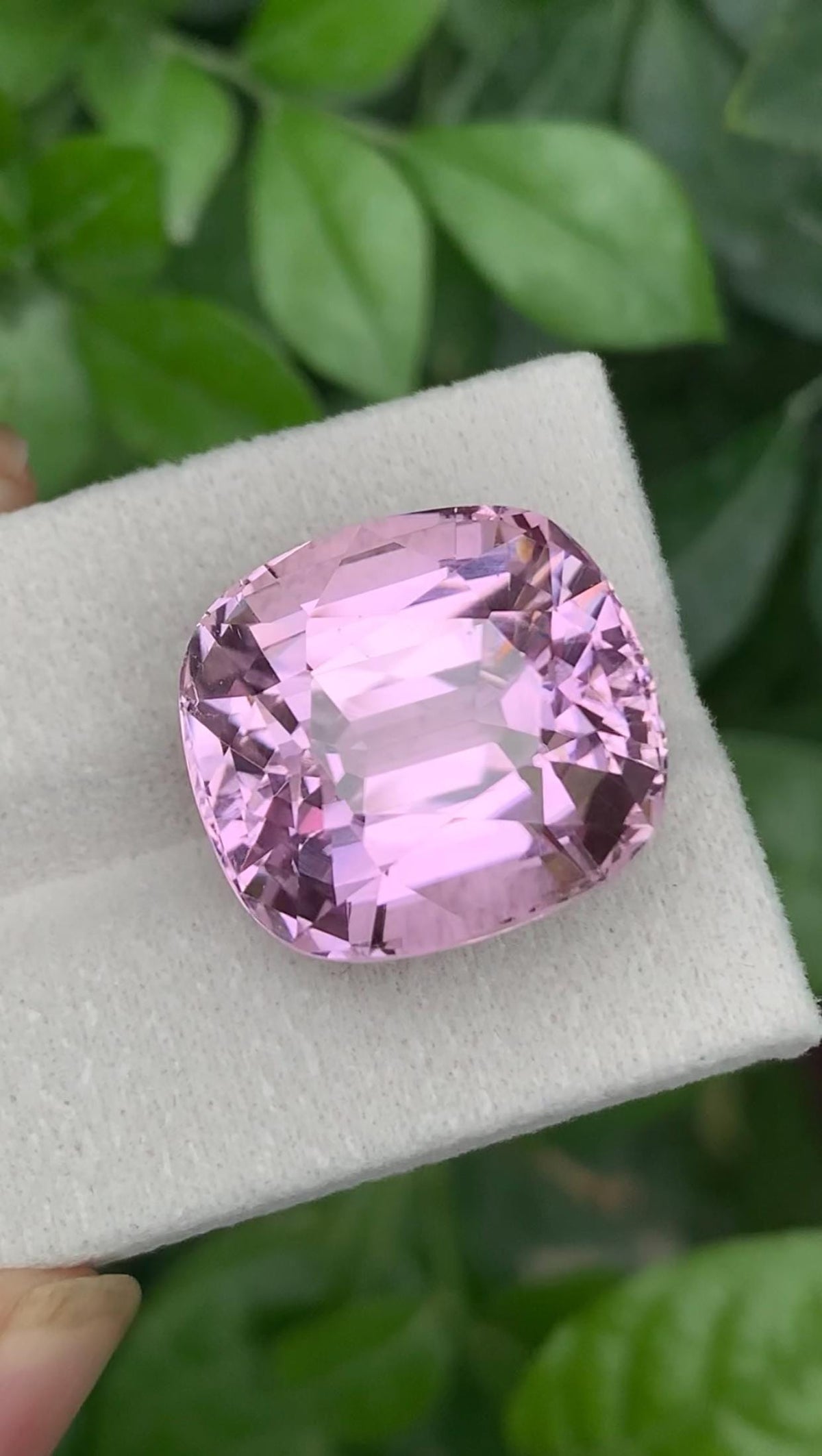 Certified Pink Kunzite Gemstone: 34.35ct Cushion Cut, Afghanistan
