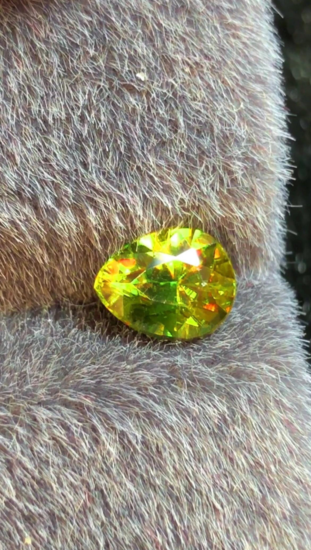 Pear Shape Sphene 0.80 CT Gemstone from Pakistan