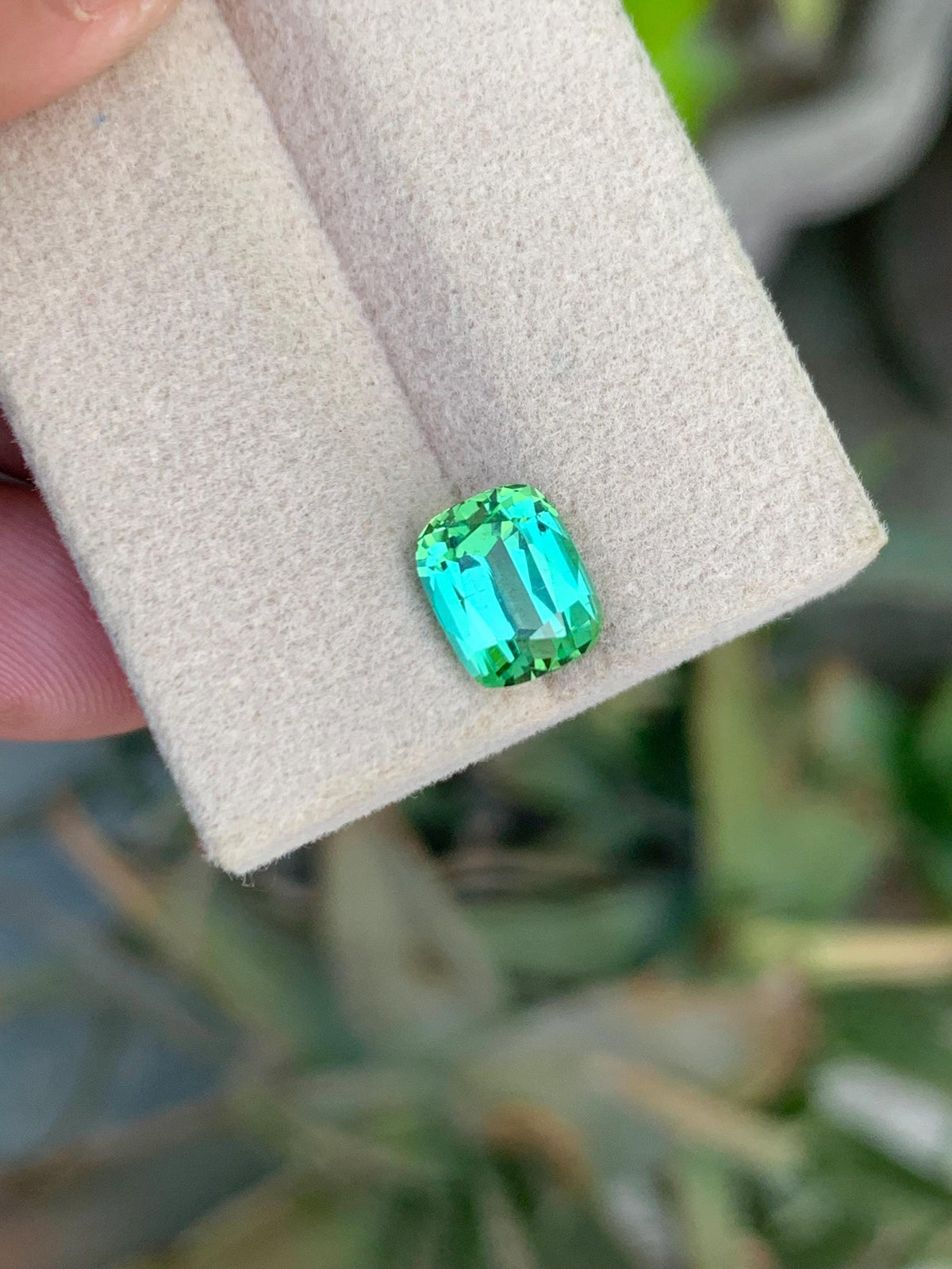 Bluish Green Tourmaline Gemstone: 2.50 CT Cushion Cut, Afghanistan