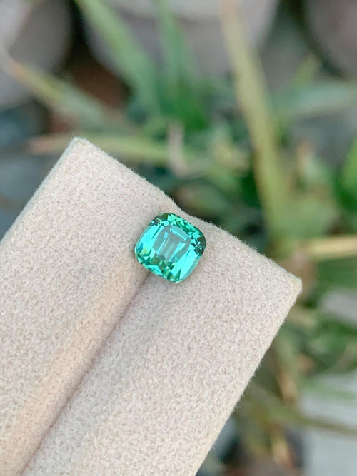 2.25 CT Blue Green Tourmaline Gemstone: Cushion Cut, Afghanistan