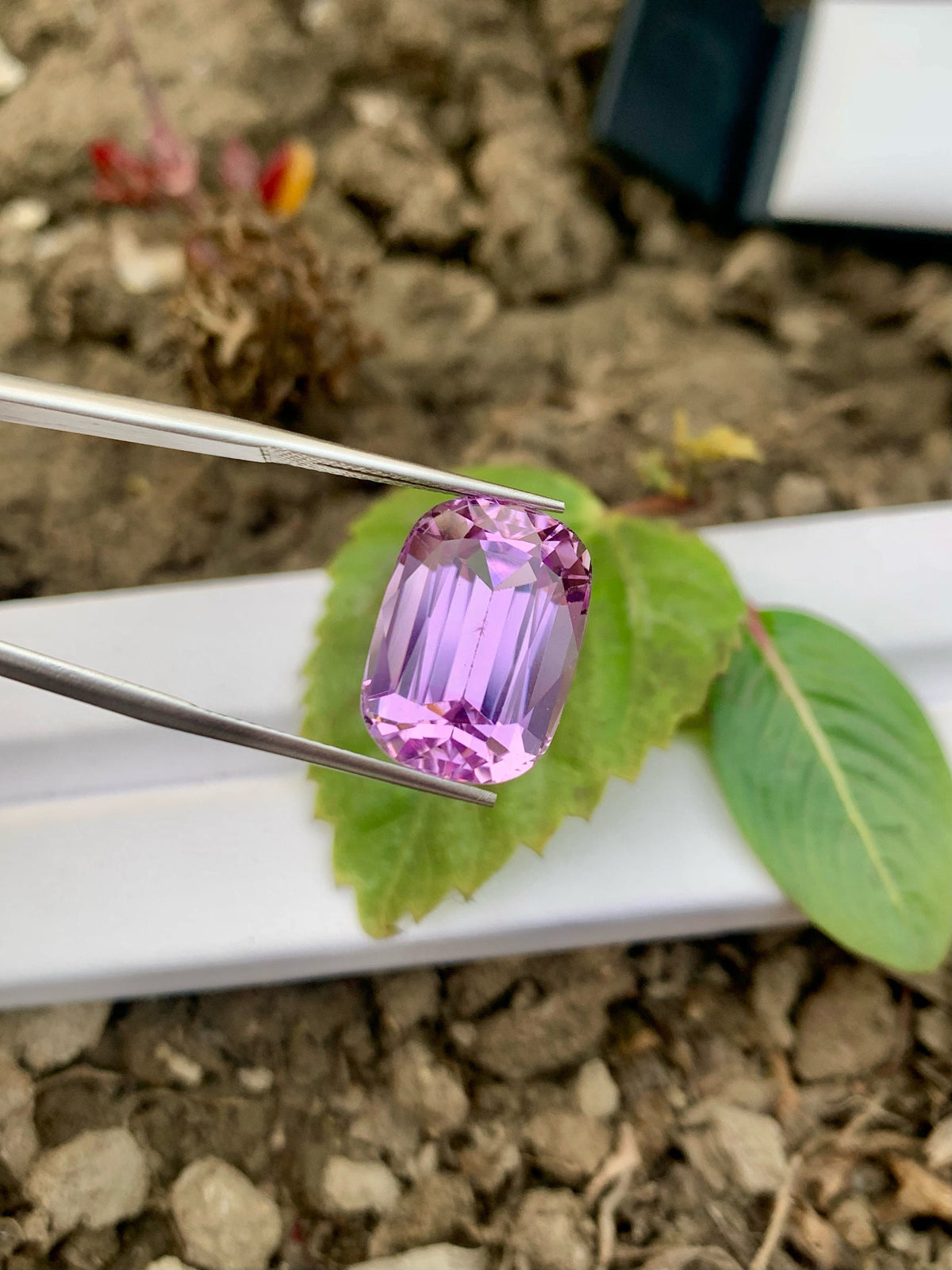 Faceted Light Pink Kunzite Gemstone: Cushion Cut, 15.55 CT