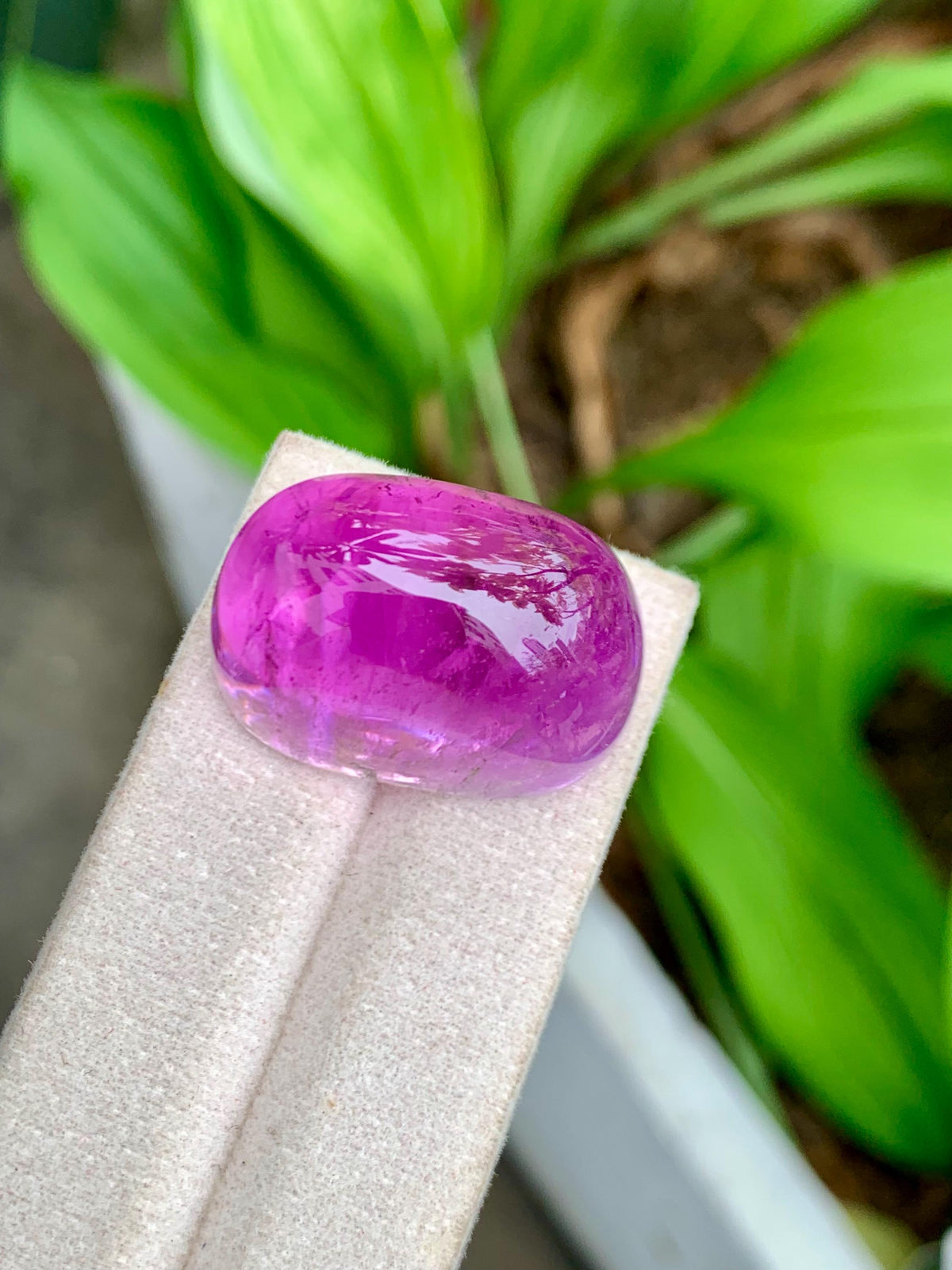 101.95 Carat Natural Deep Pink Kunzite – Large Oval Cabochon, Afghanistan Origin, Collector’s Gemstone