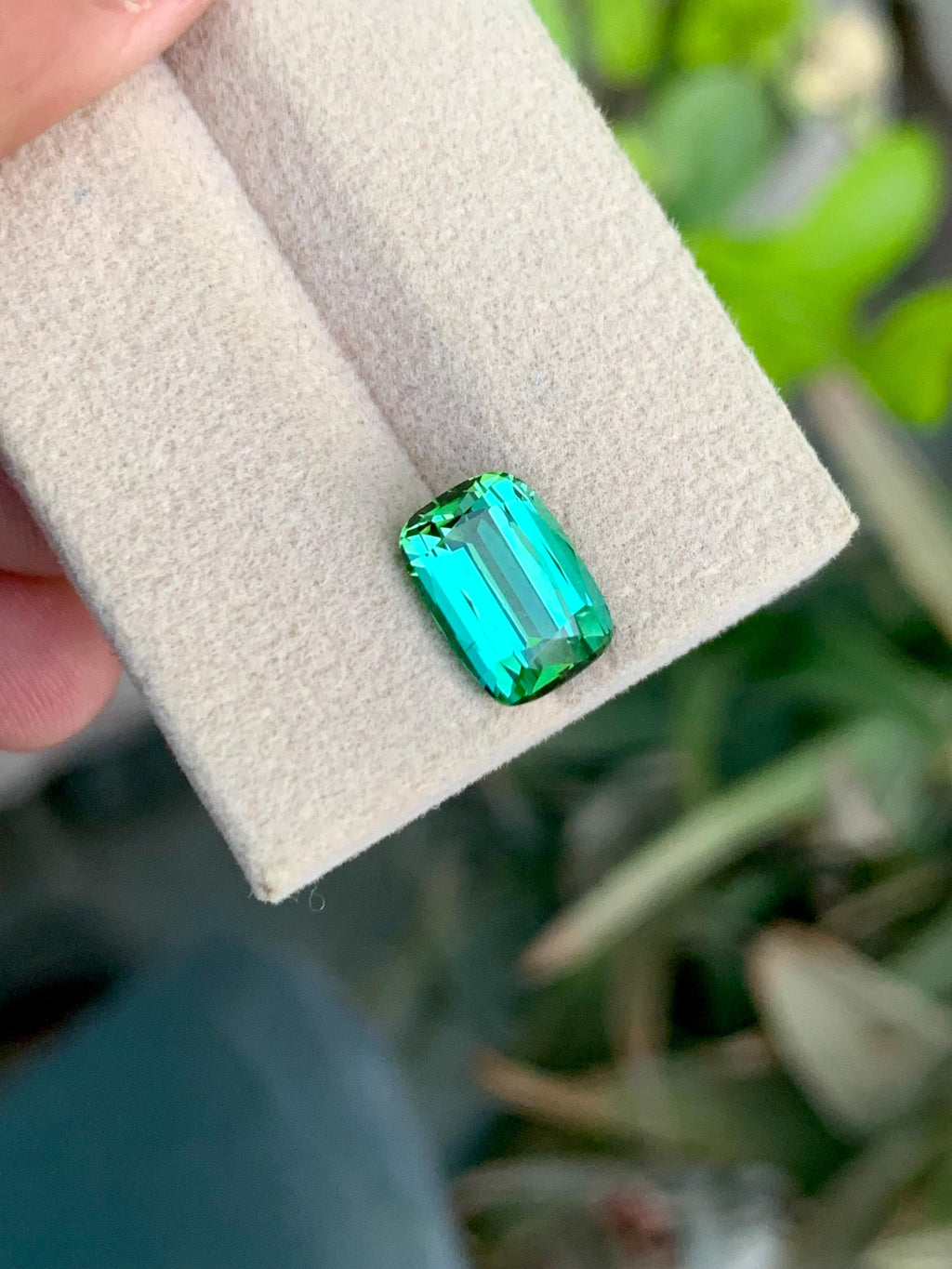 3.35 CT Blue Green Tourmaline Gemstone: Cushion Cut, Jaba Mine