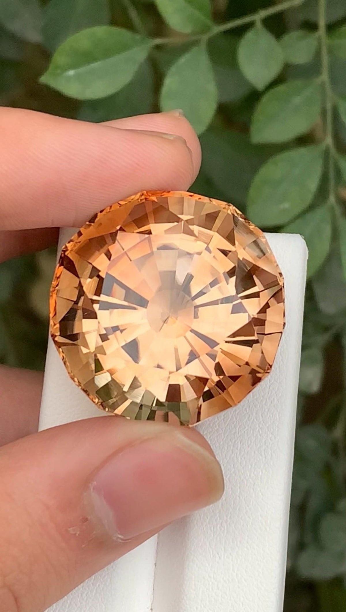 Champagne Topaz 124ct - Cushion Cut - Skardu Pakistan