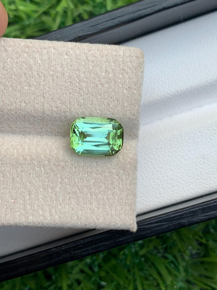 Mint Green Tourmaline Gemstone: Cushion Cut, 2.65 Carat, Afghanistan