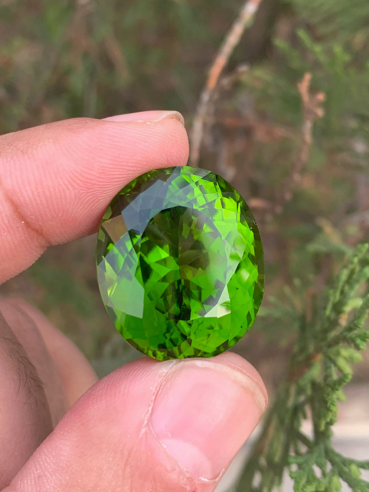 Lime Green Peridot Gemstone: 52.70 Carat Oval August Birthstone