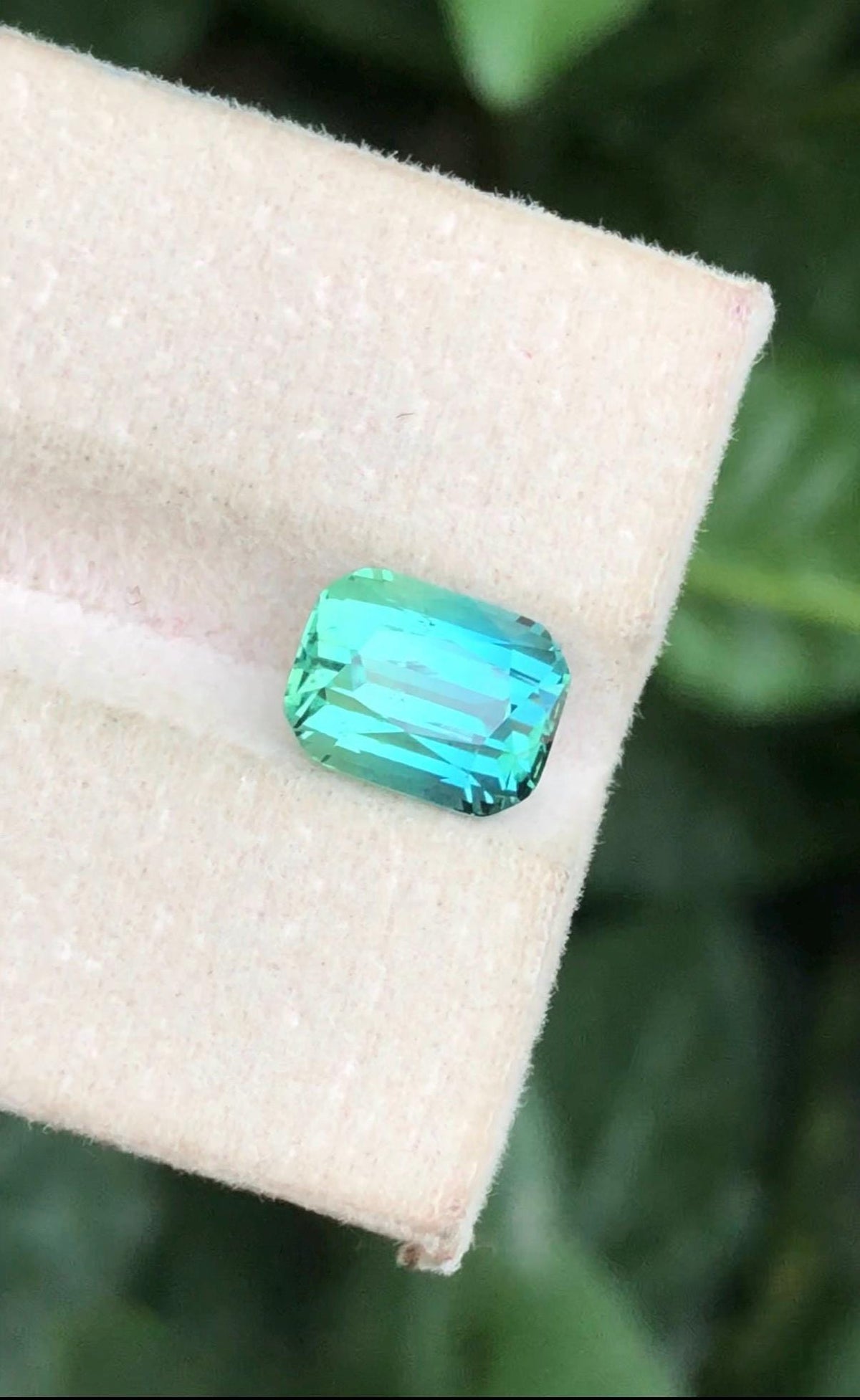 Lagoon Tourmaline 2.90ct Cushion Cut Gemstone from Afghanistan