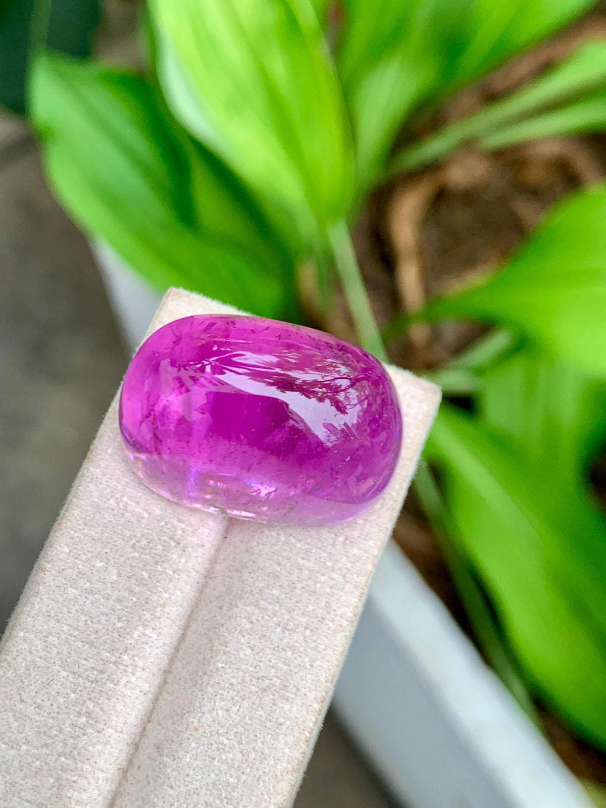 101.95 Carat Natural Deep Pink Kunzite – Large Oval Cabochon, Afghanistan Origin, Collector’s Gemstone