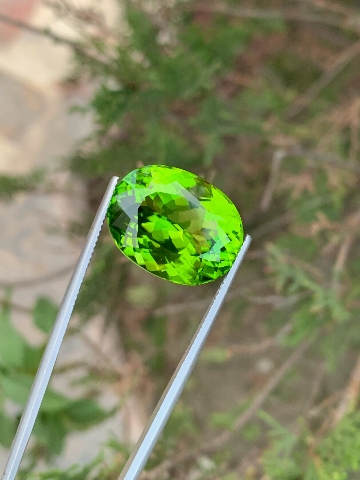 Lime Green Peridot Gemstone: Natural Oval August Birthstone (26.90 Carat)