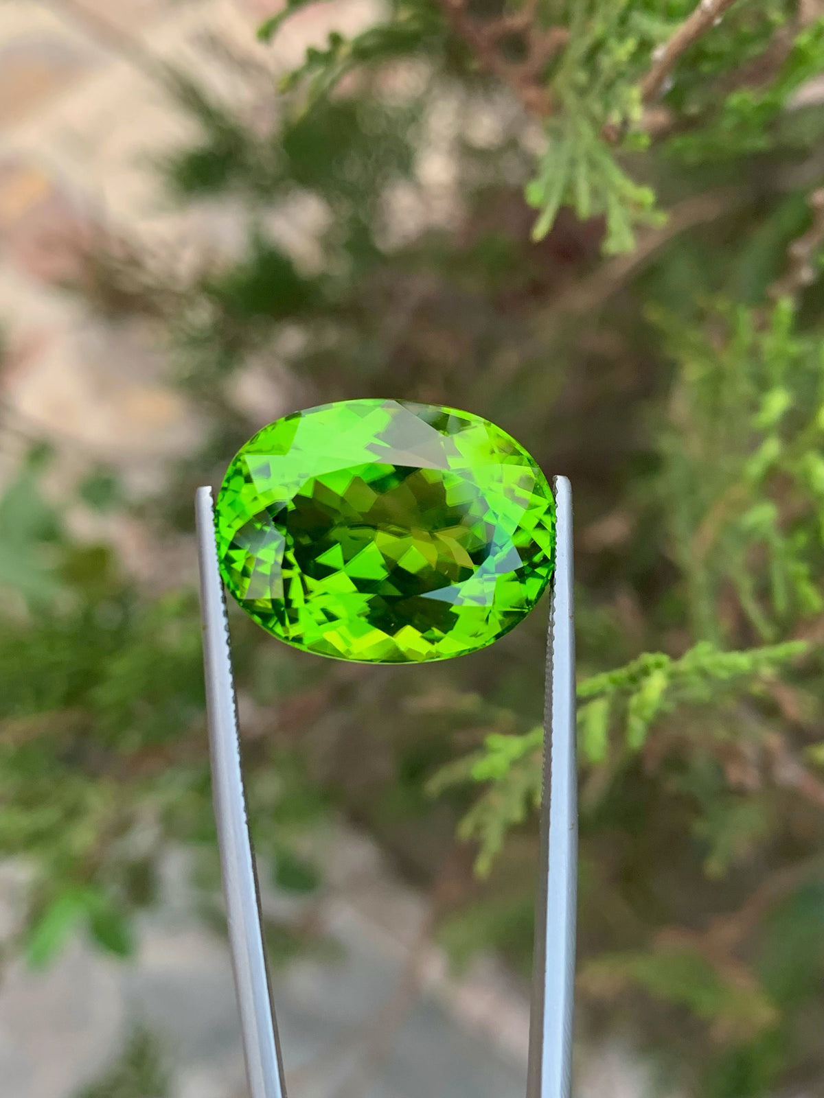 Lime Green Peridot Gemstone: Natural Oval August Birthstone (26.90 Carat)