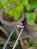 1.10 CT Bi-Color Tourmaline Gemstone: Oval Faceted Pink/Green